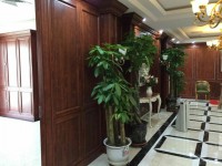 QQ图片20150630141828