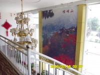 SAM_0813